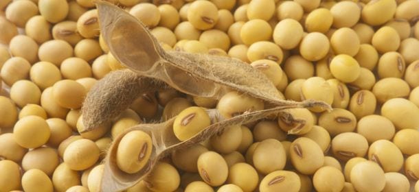 La soia, l'indispensabile legume che aiuta a rimanere in forma