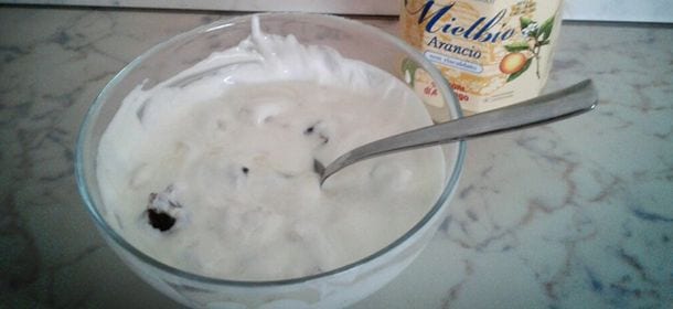 Ricette tradizionali: come fare lo yogurt greco in casa