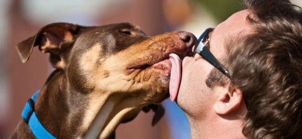 Il bacio del proprio cane è salutare come uno yogurt: i possibili effetti