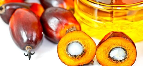 L'olio di palma fa male? Tutto quello che c'è da sapere