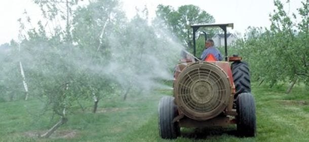 I pesticidi causano il Parkinson e l’Alzheimer: Greenpeace lancia l’allarme