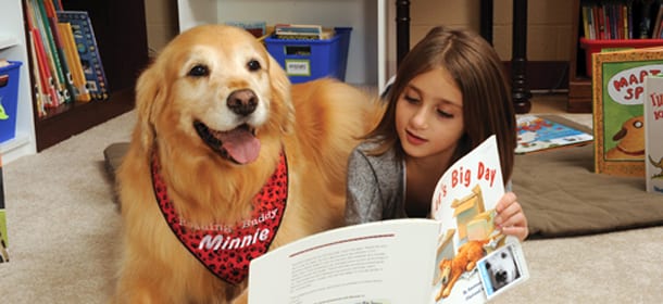 Dislessia: i cani da lettura possono aiutare i bambini a superare questo disturbo