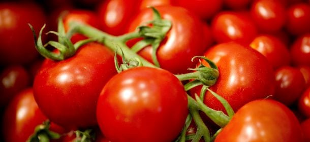 Super pomodoro contro l'invecchiamento: stessi pregi di 50 bottiglie di vino e 2,5 chili di tofu