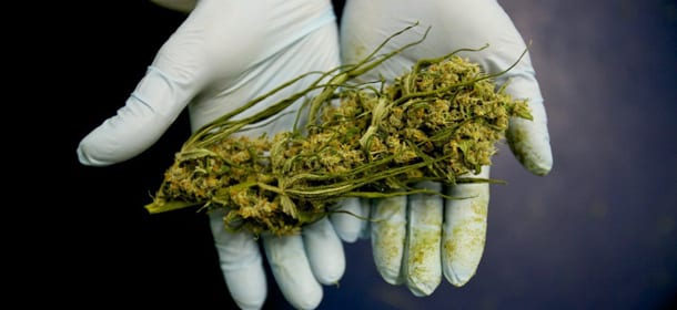 Cannabis contro le crisi epilettiche: efficace al 54% secondo gli ultimi studi