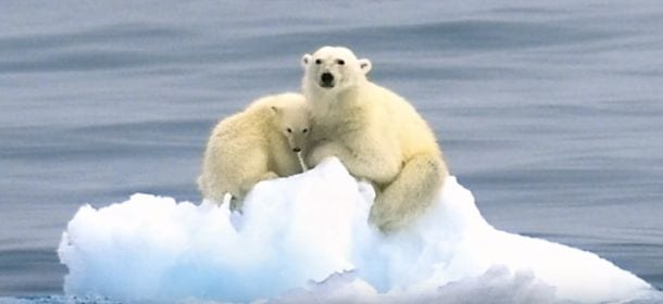 Aboca presenta le immagini/icone che hanno cambiato il modo di vedere la natura