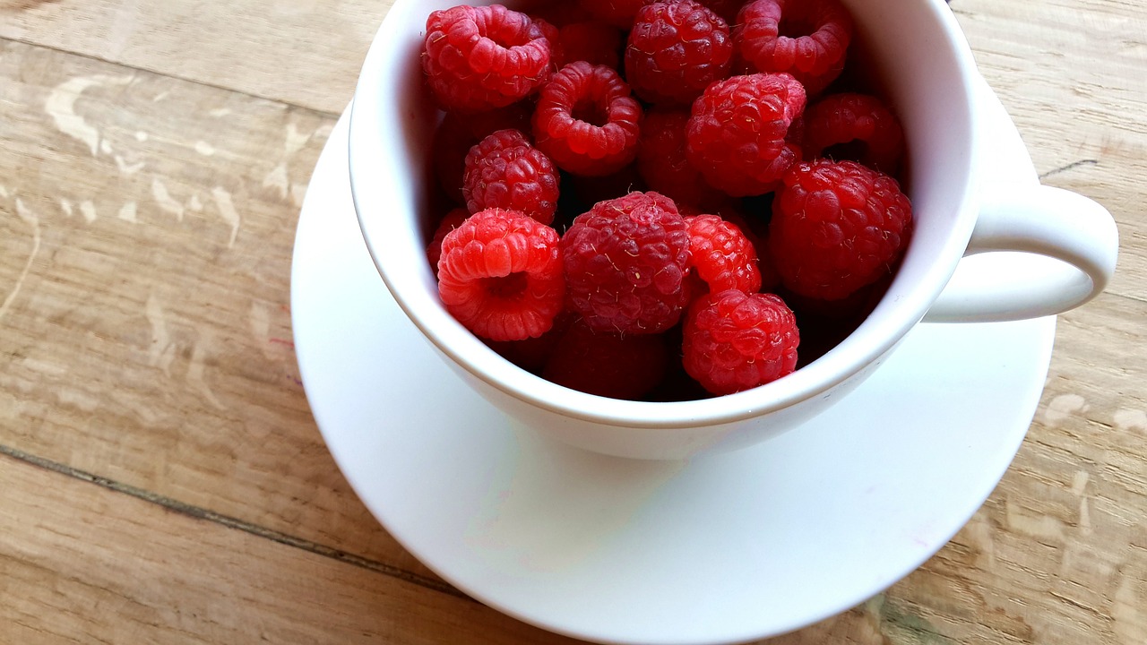 Dieta dei frutti di bosco